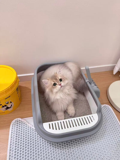Paul’s CATPAK customer photo