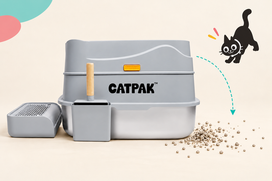CATPAK litter box and scattered mineral litter with a black cat illustration and turquoise arrow.