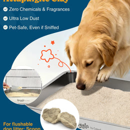 Waggle 100% Natural Mineral Attapulgite Dog Litter    [狗狗專用13磅] Waggle凹凸棒石狗砂-純天然礦物質 | 強效除臭| 抑菌低塵|環保減塑（除臭粉）