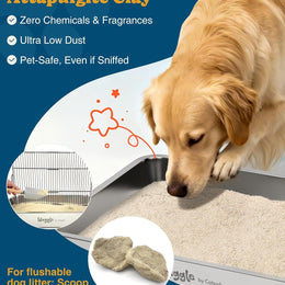 Waggle natural attapulgite clay dog litter with a dog