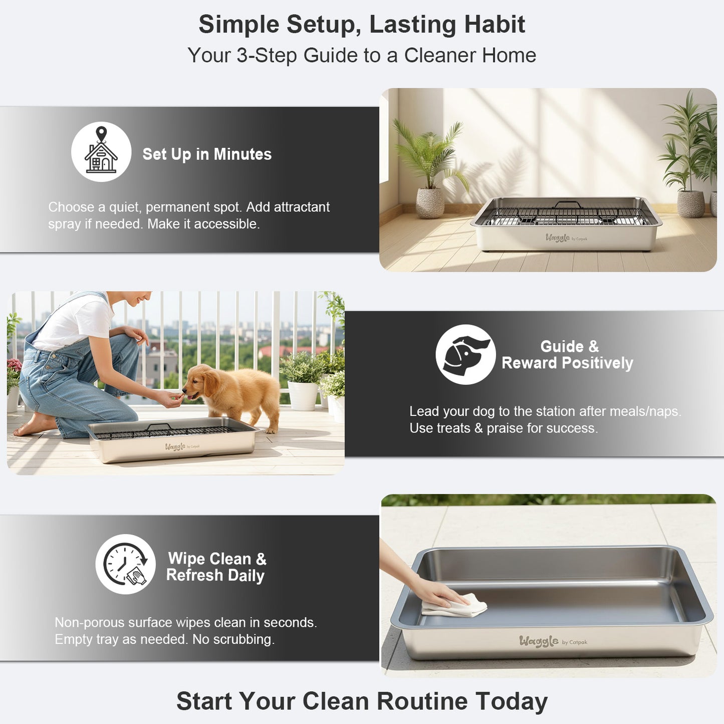 Waggle Steel Dog Toilet | Stainless steel base | Antibacterial and deodorizing     Waggle 專業狗廁所｜不鏽鋼底盤｜抗菌除臭｜快拆易洗｜結團一鏟就淨