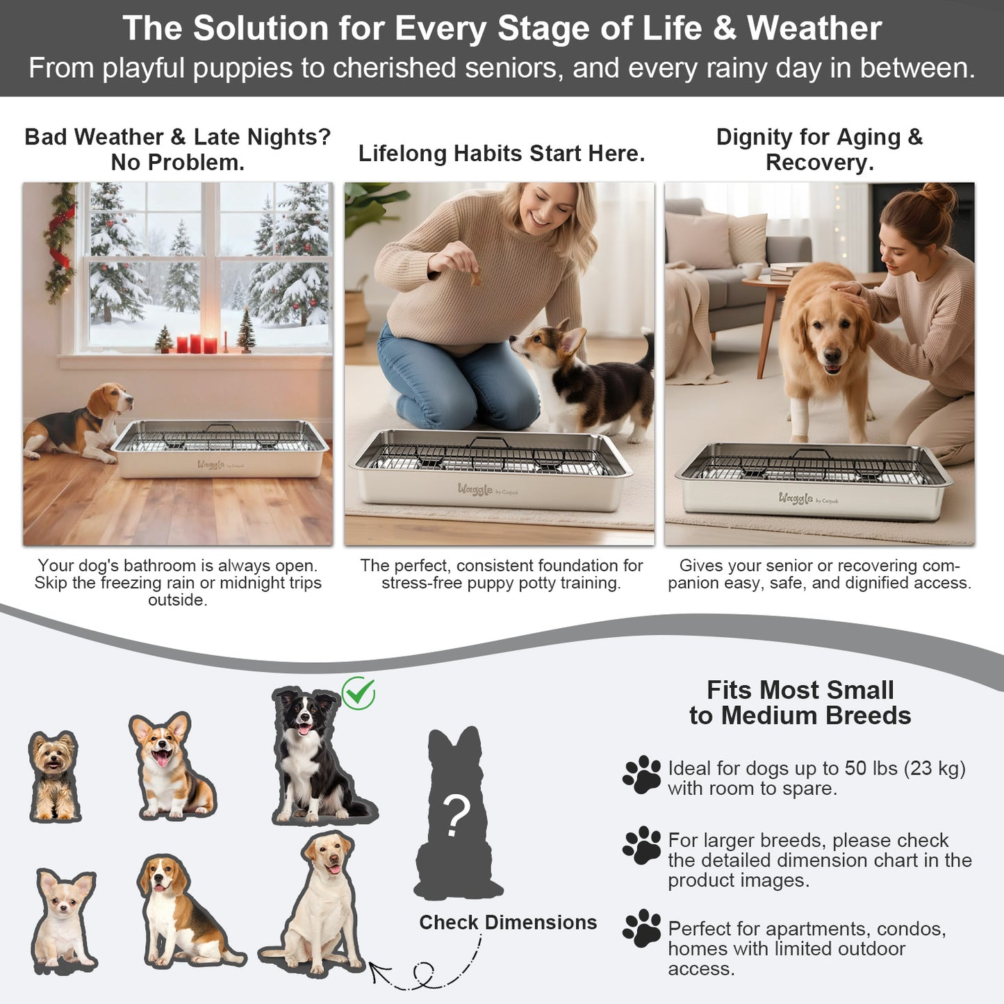 Waggle Steel Dog Toilet | Stainless steel base | Antibacterial and deodorizing     Waggle 專業狗廁所｜不鏽鋼底盤｜抗菌除臭｜快拆易洗｜結團一鏟就淨